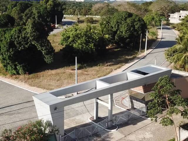  para  em  - 5